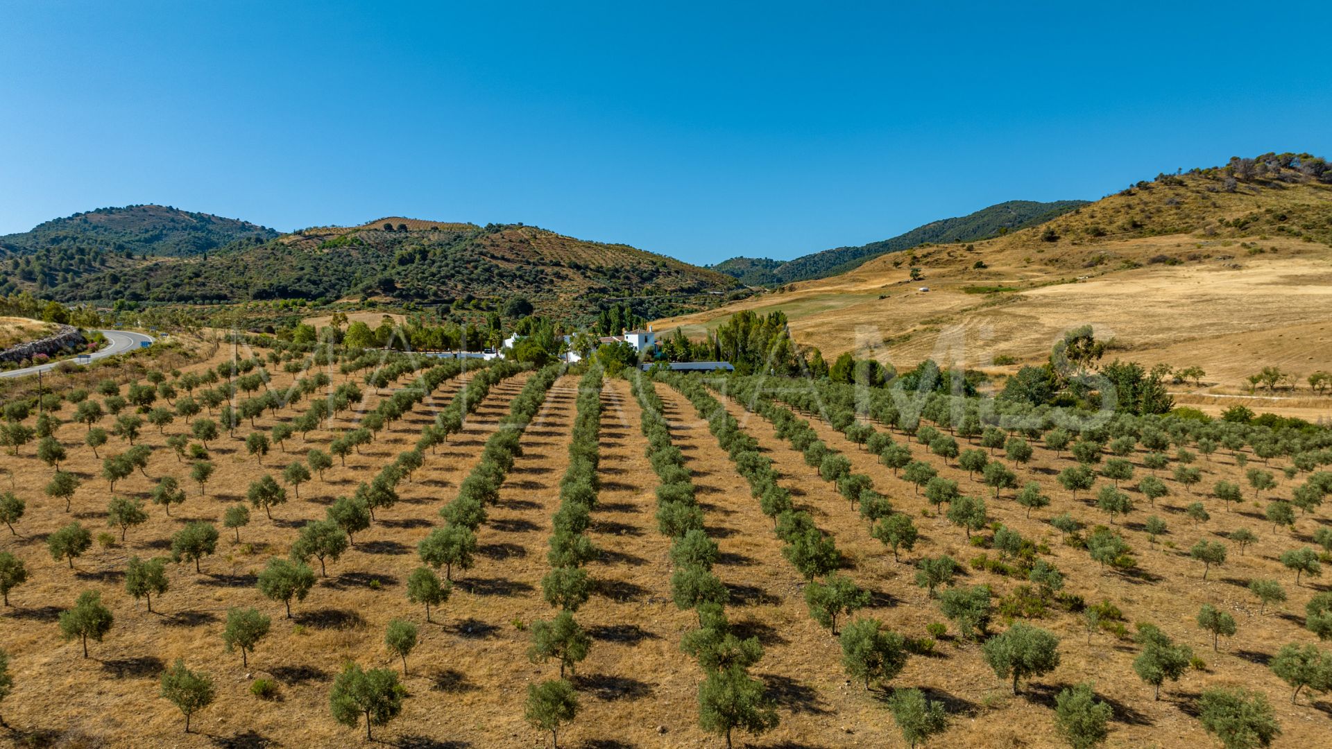 Cortijo for sale in Ronda