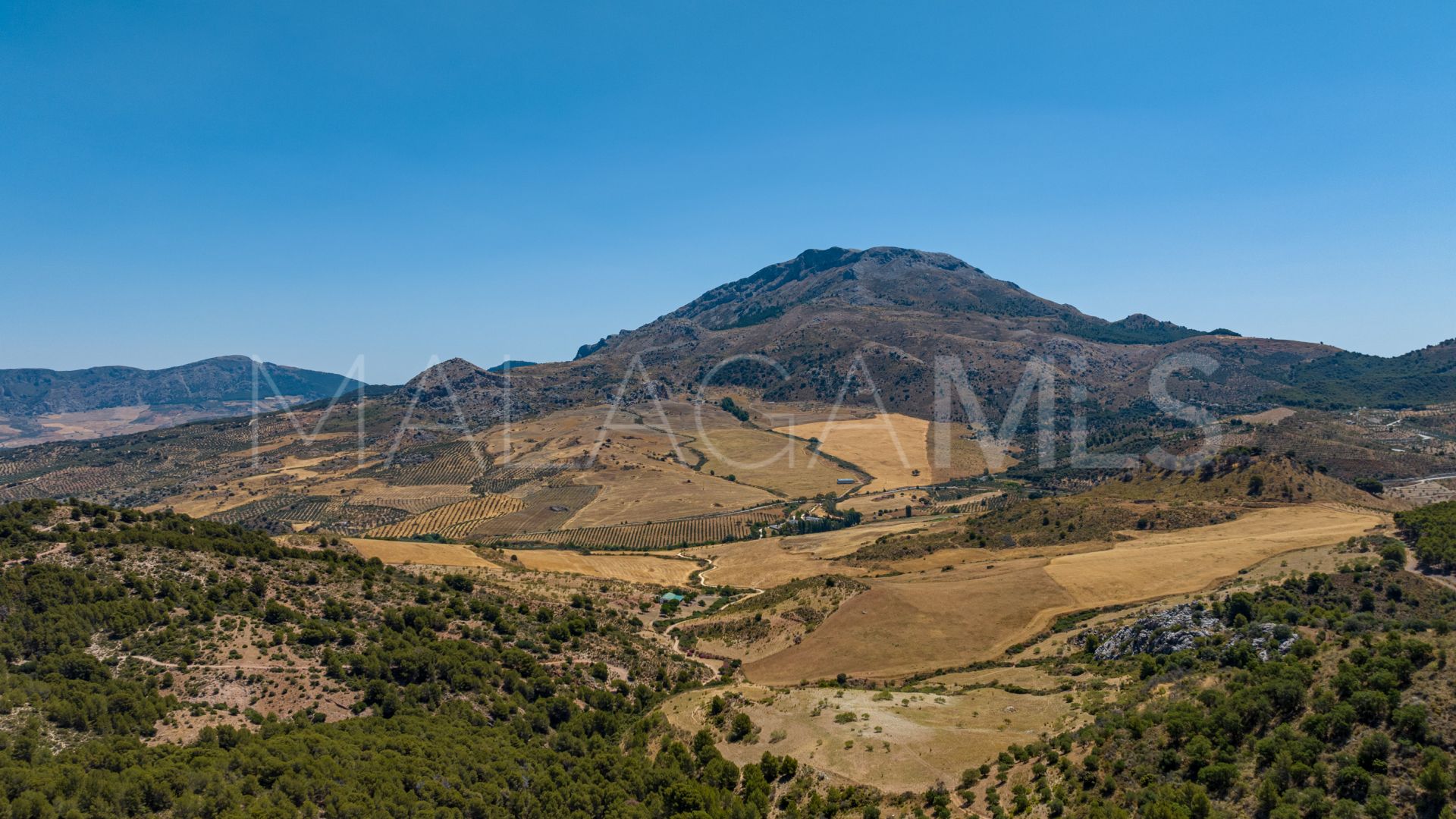 Cortijo for sale in Ronda