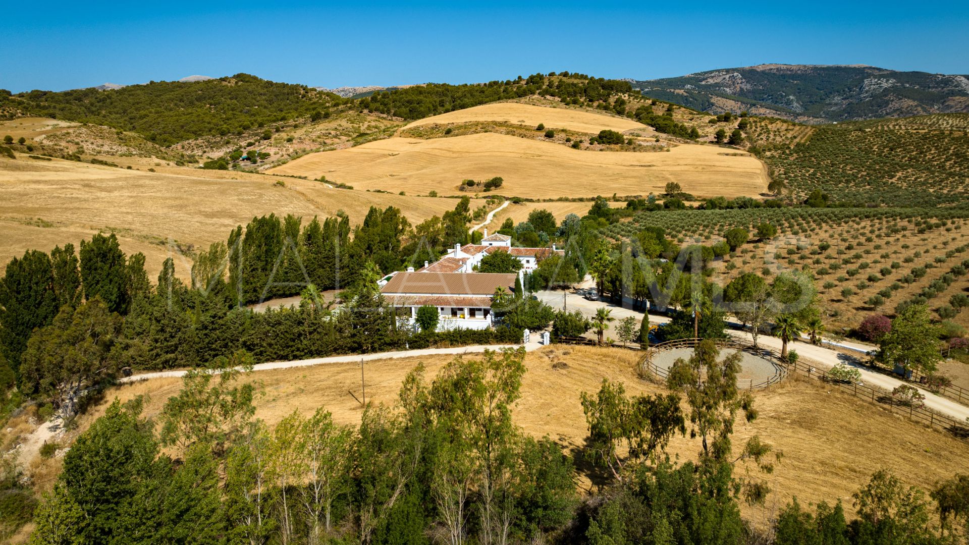 Cortijo for sale in Ronda