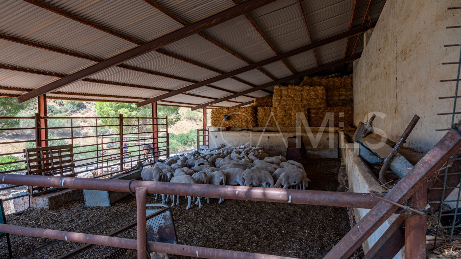 Cortijo for sale in Ronda