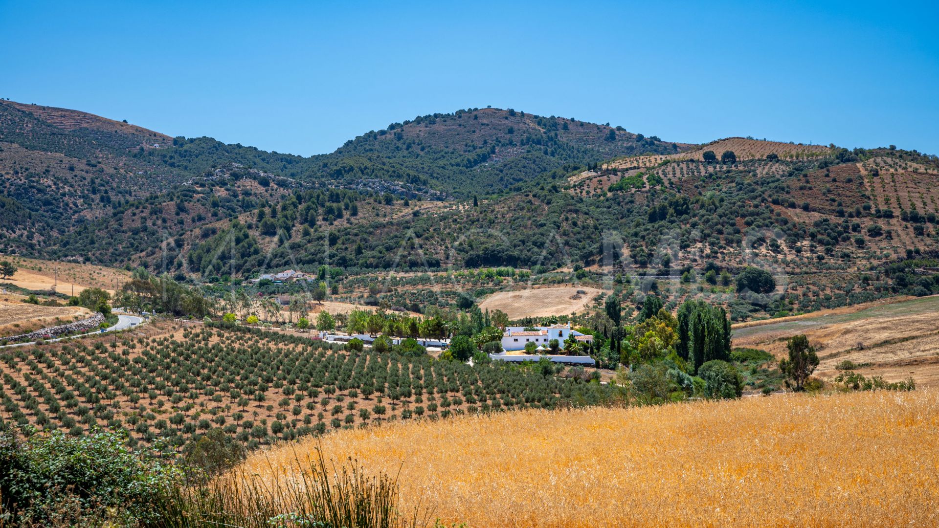 Cortijo for sale in Ronda