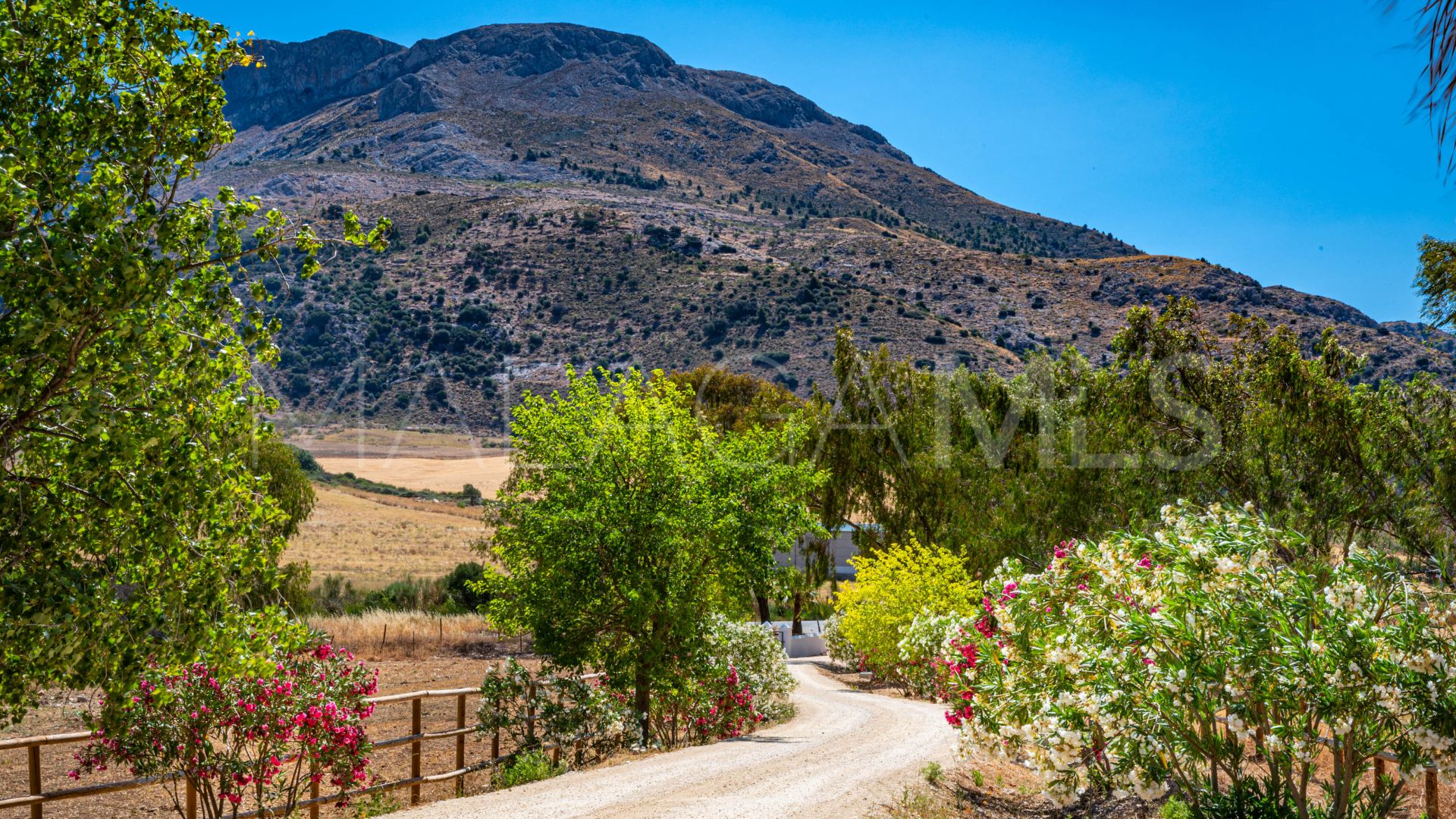 Cortijo for sale in Ronda