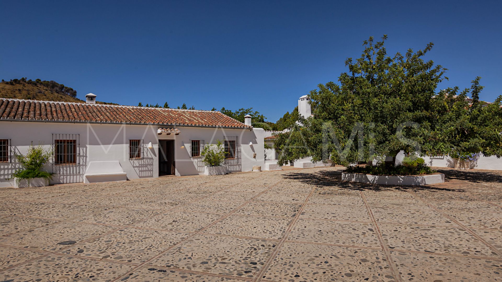 Cortijo for sale in Ronda