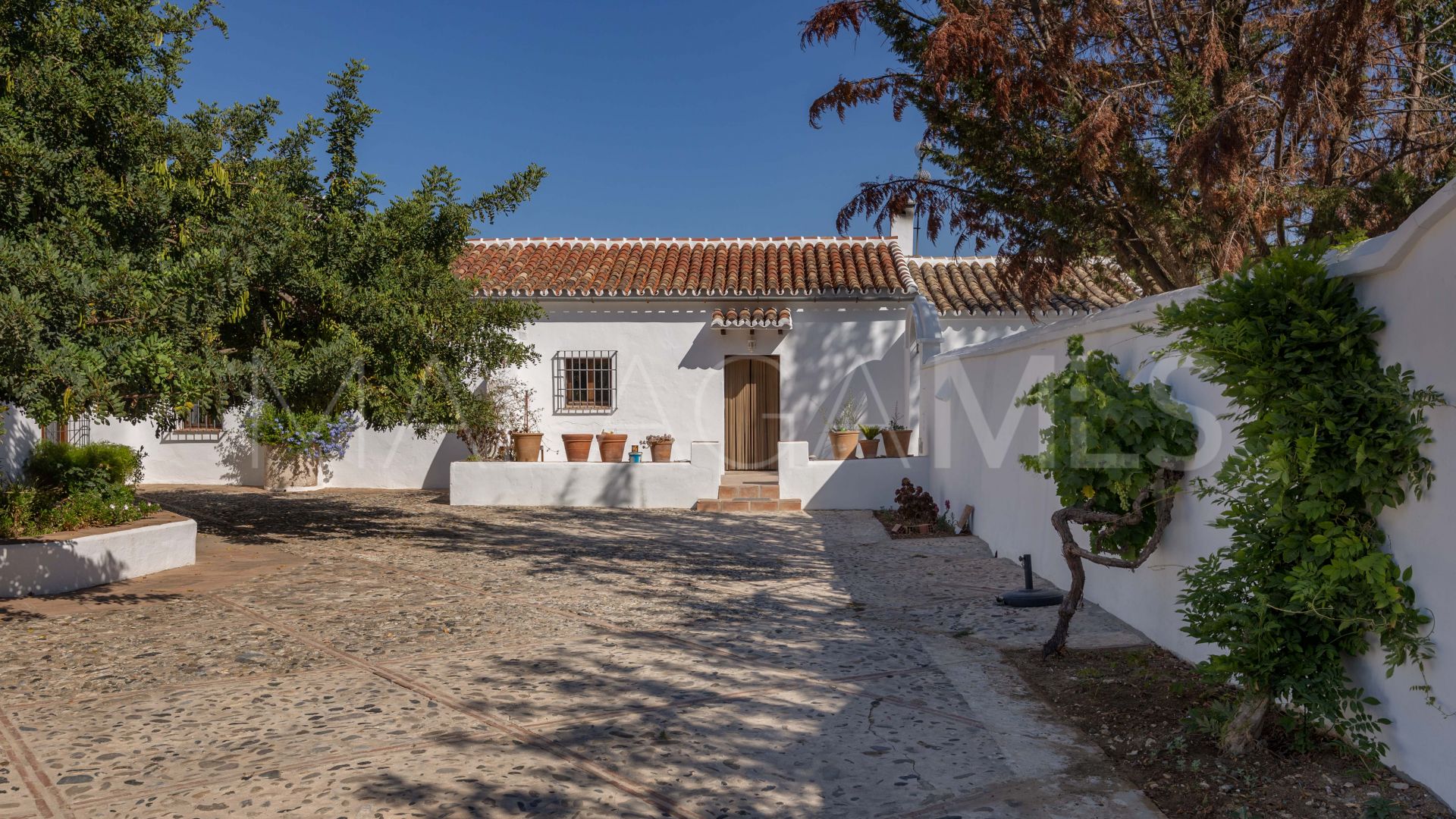 Cortijo for sale in Ronda