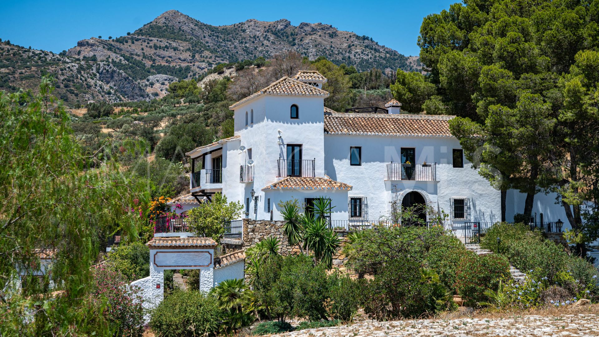 Ferme for sale in Casarabonela