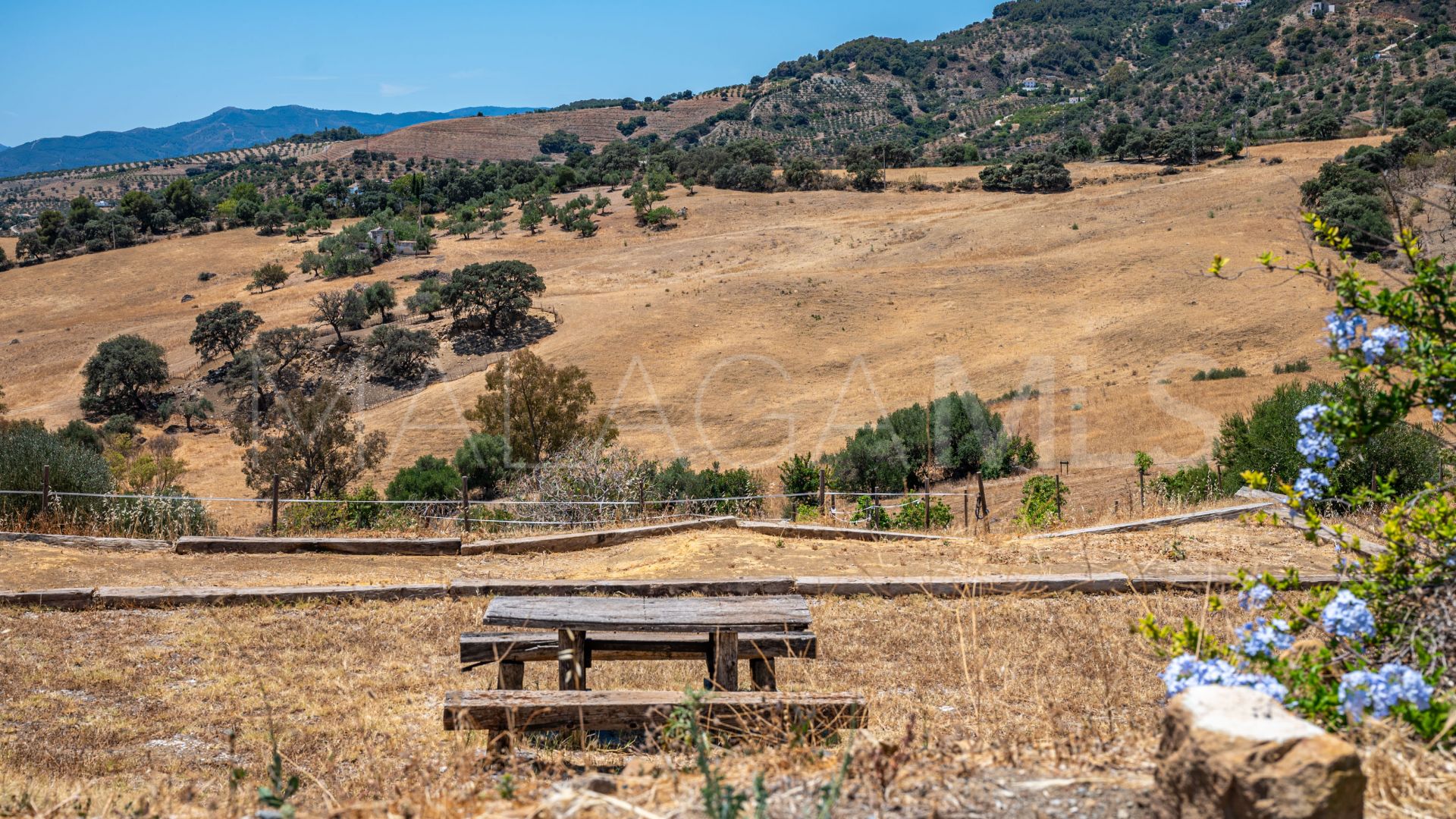 Ferme for sale in Casarabonela