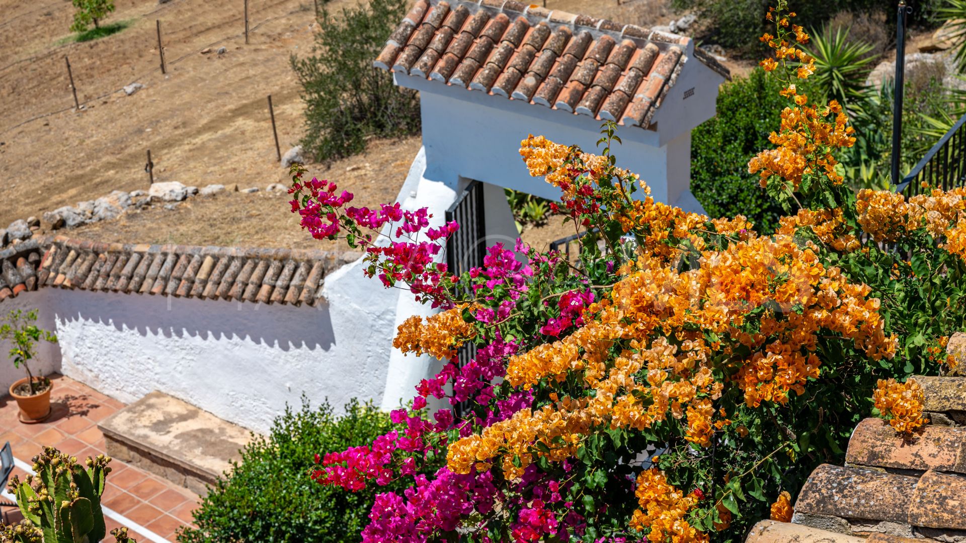 Cortijo for sale in Casarabonela