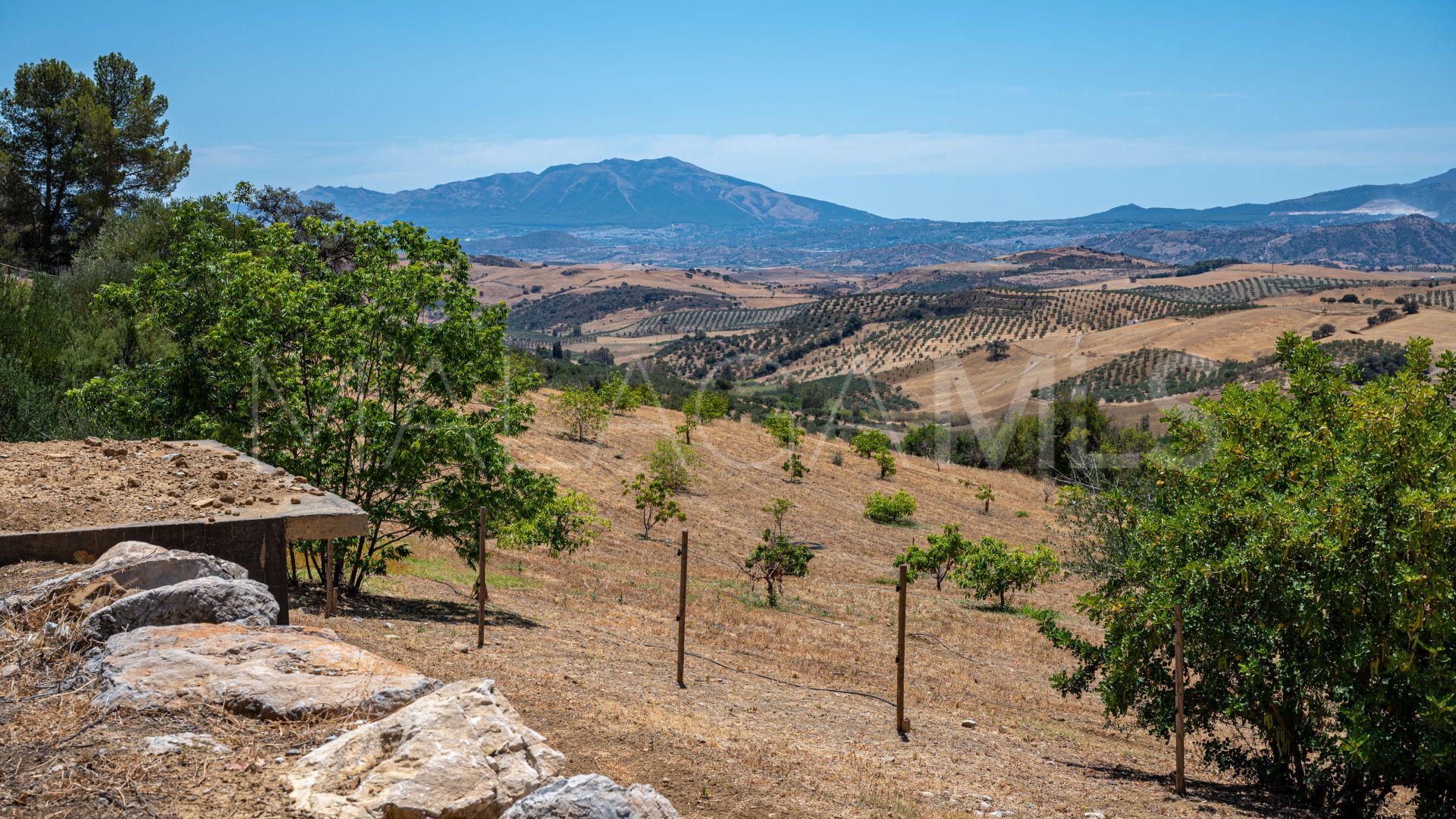 Ferme for sale in Casarabonela