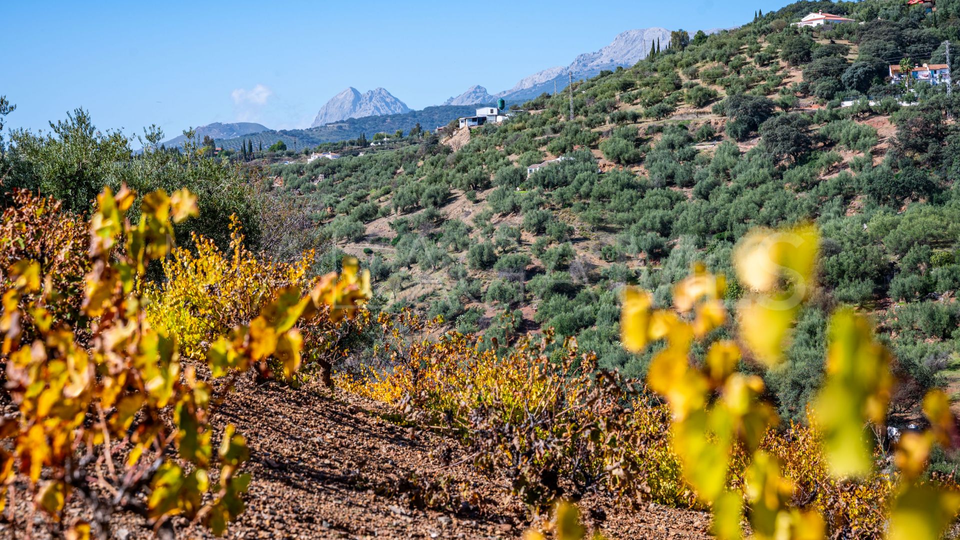 Maison de campagne for sale in Riogordo