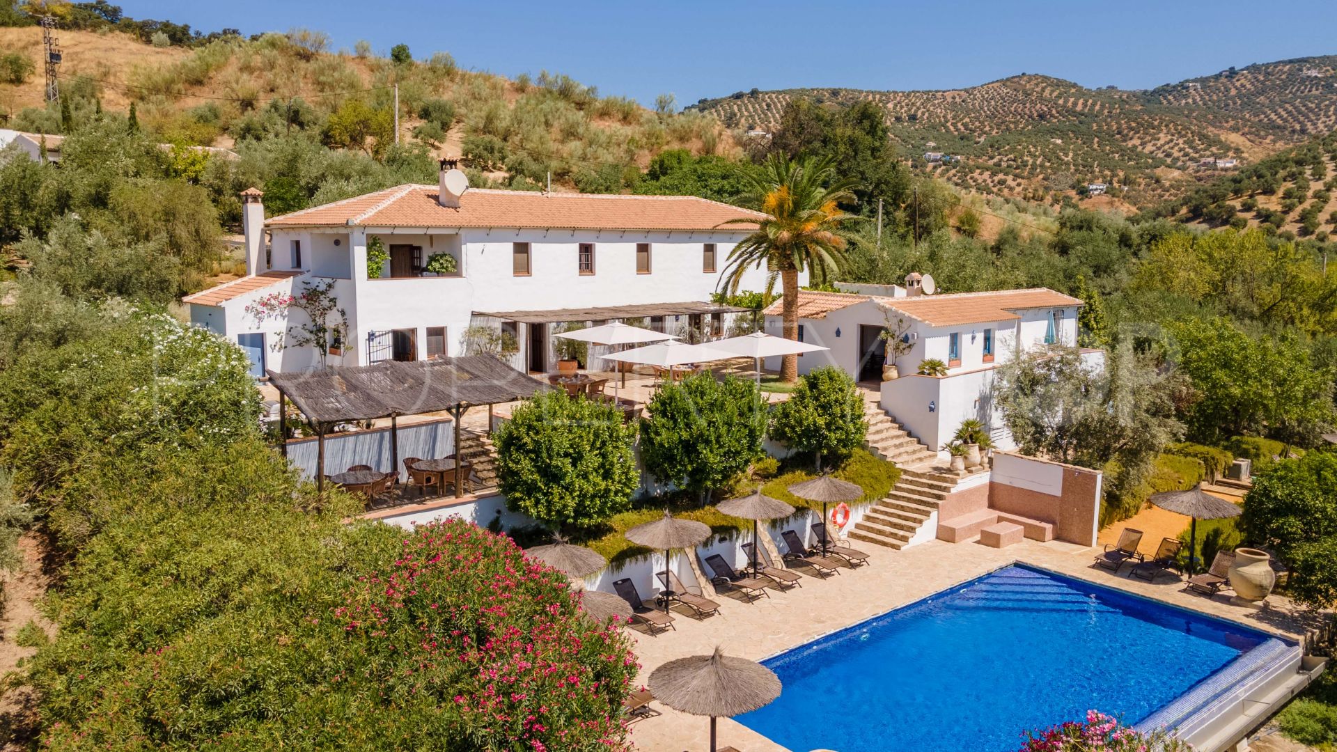 Cordoba 12 bedrooms country house for sale