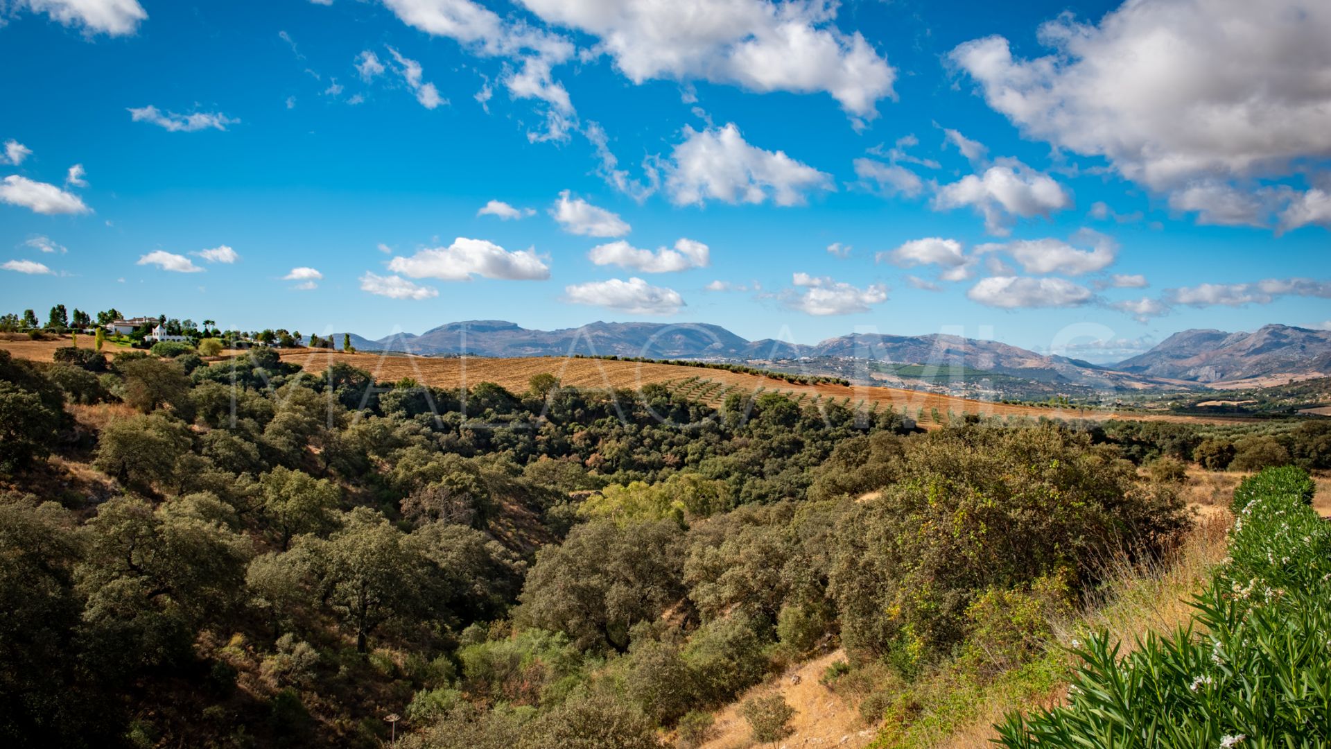 For sale Ronda country house with 10 bedrooms