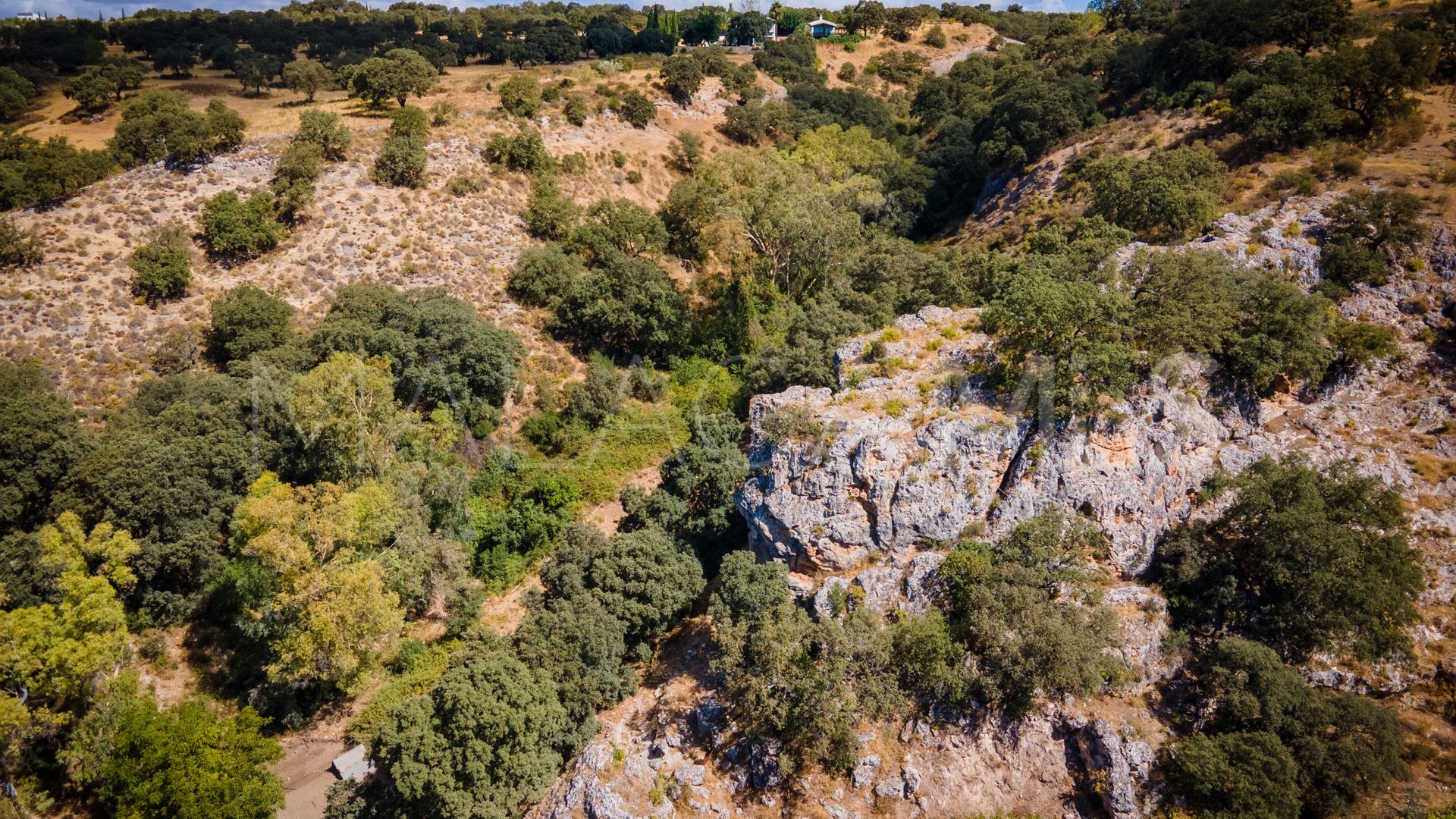 For sale Ronda country house with 10 bedrooms