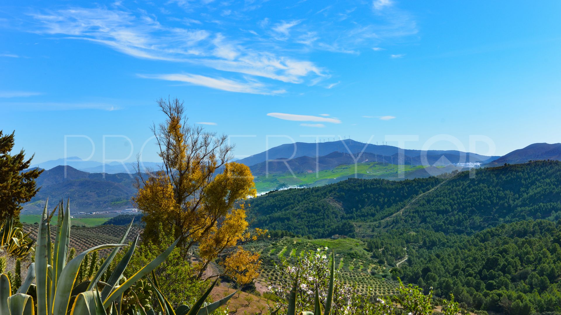 Ardales, cortijo con 5 dormitorios en venta