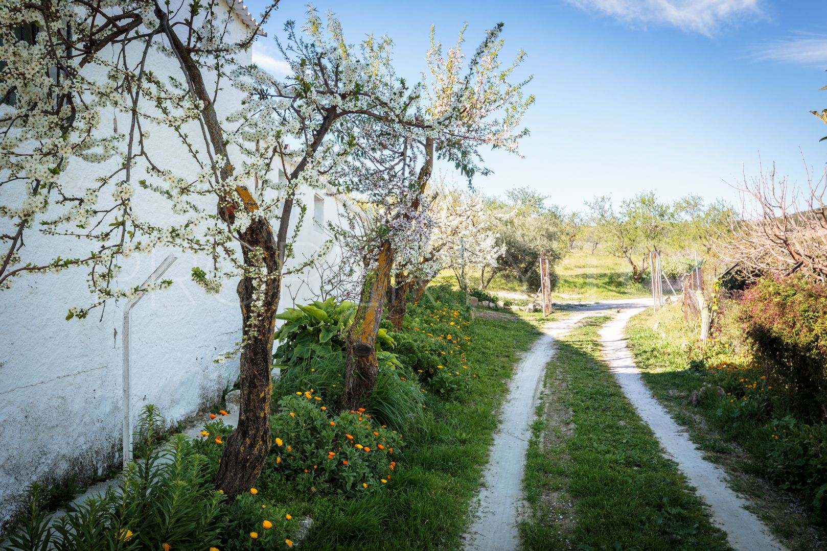 Ardales, cortijo con 5 dormitorios en venta