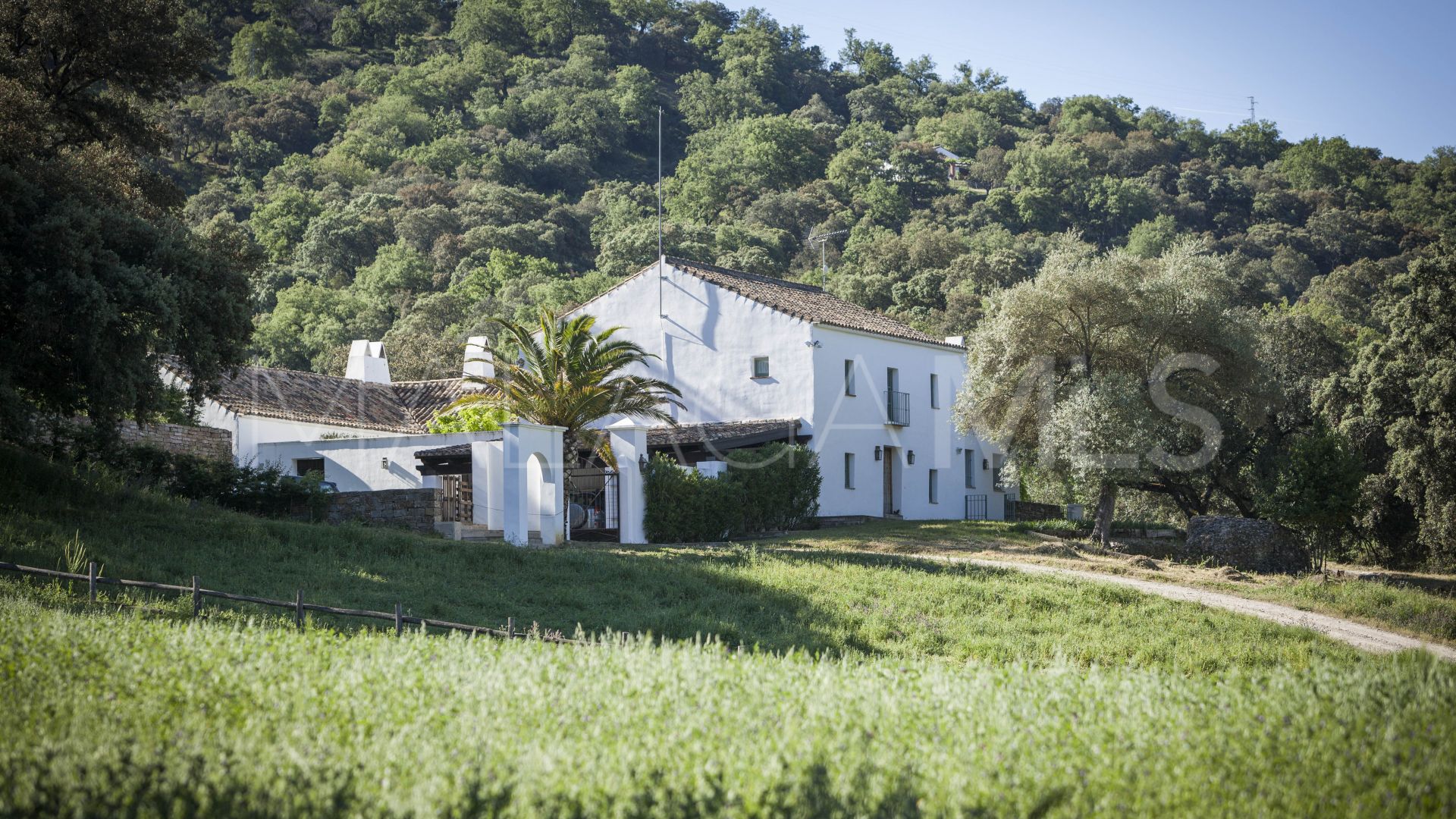 Ferme for sale in Gaucin