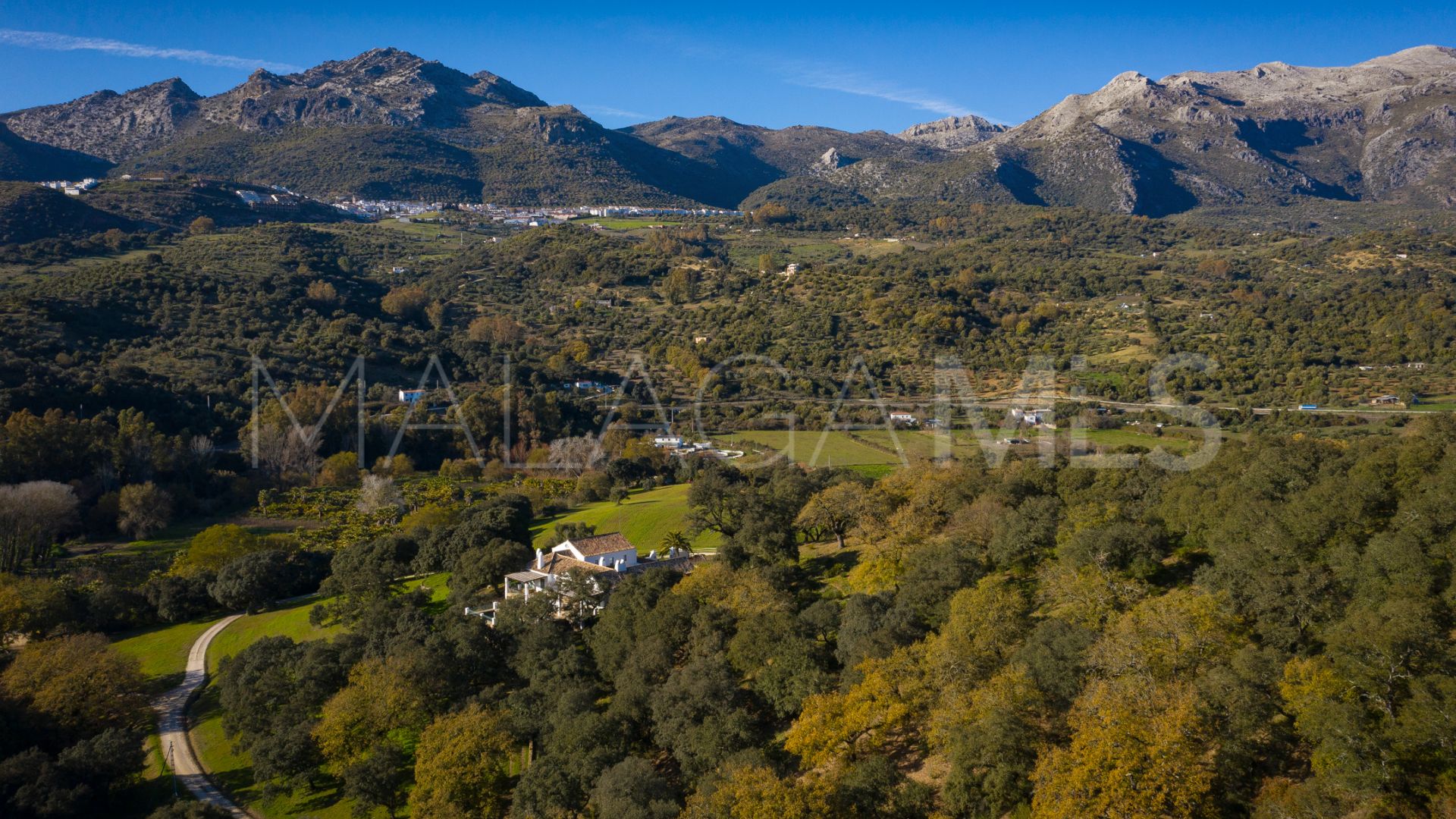 Ferme for sale in Gaucin