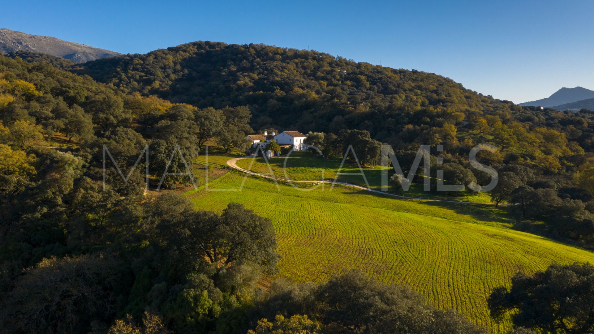 Ferme for sale in Gaucin