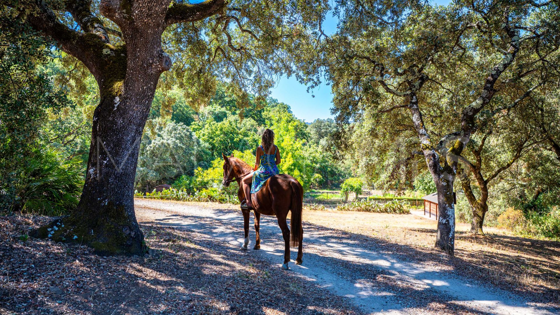 Cortijo for sale de 4 bedrooms in Gaucin