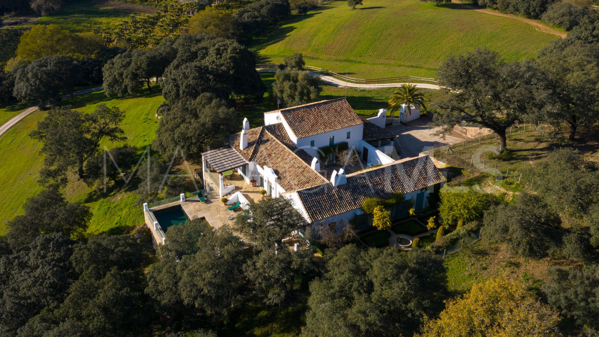 Ferme for sale in Gaucin