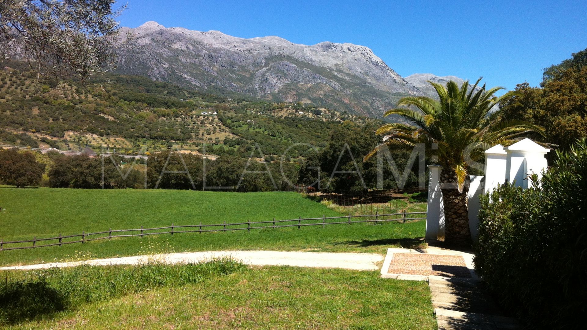 Ferme for sale in Gaucin