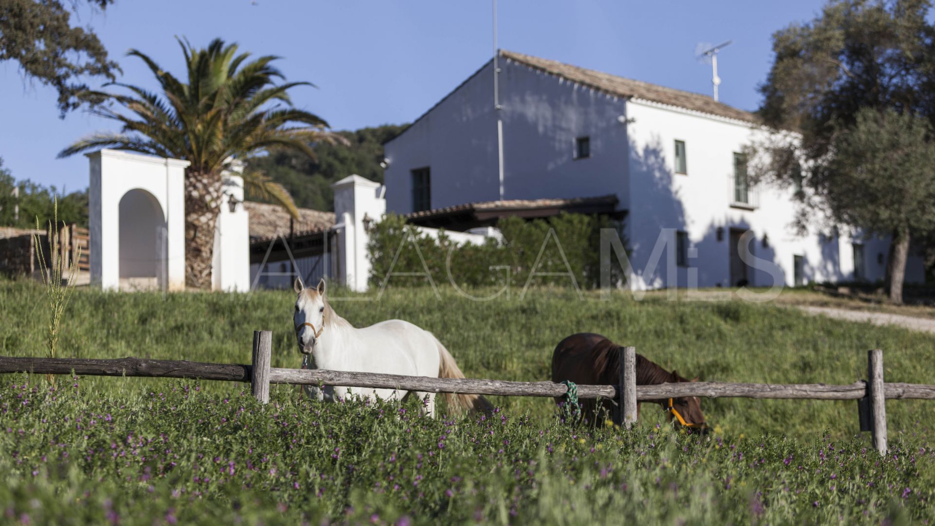 Ferme for sale in Gaucin