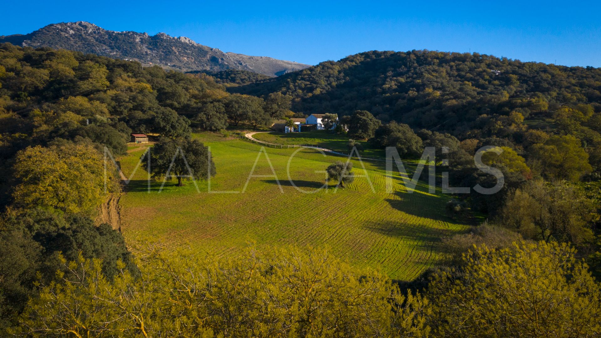 Ferme for sale in Gaucin