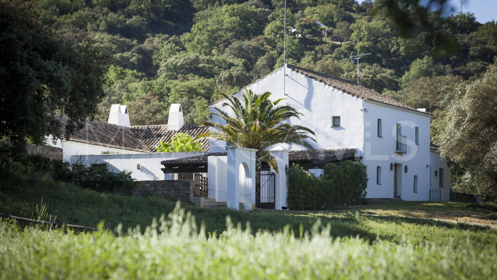 Ferme for sale in Gaucin