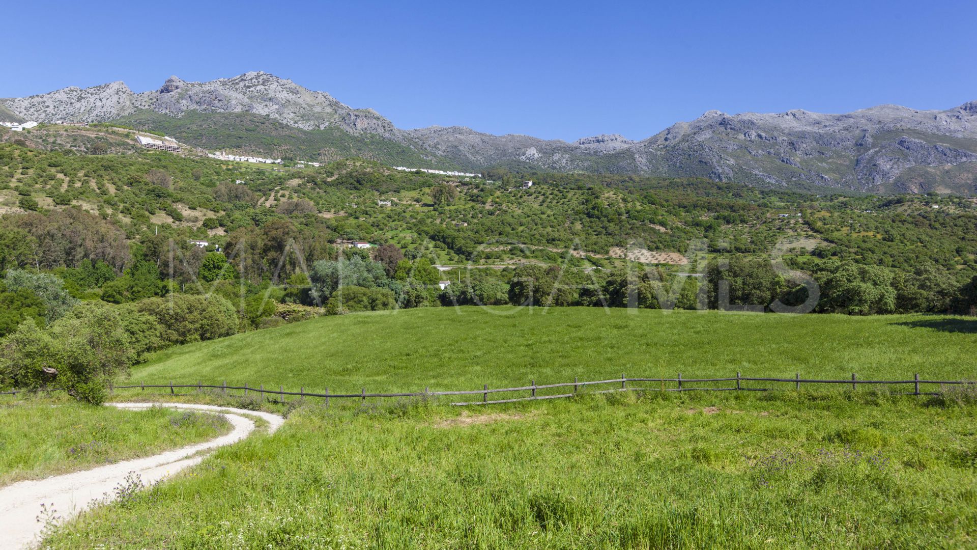 Ferme for sale in Gaucin
