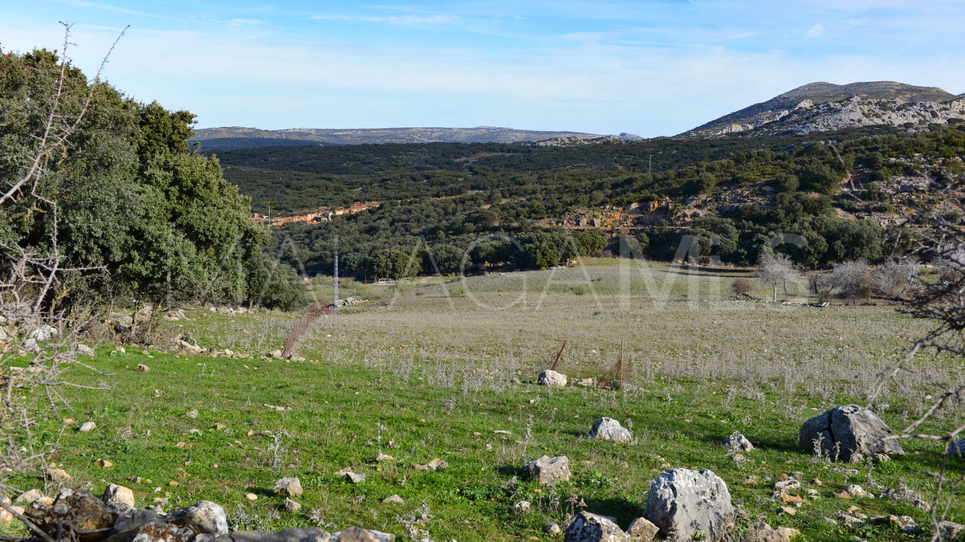 Grundstück for sale in Ronda