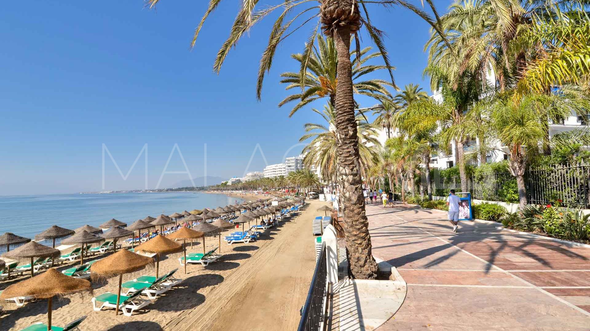 Bureaux for sale in Ricardo Soriano