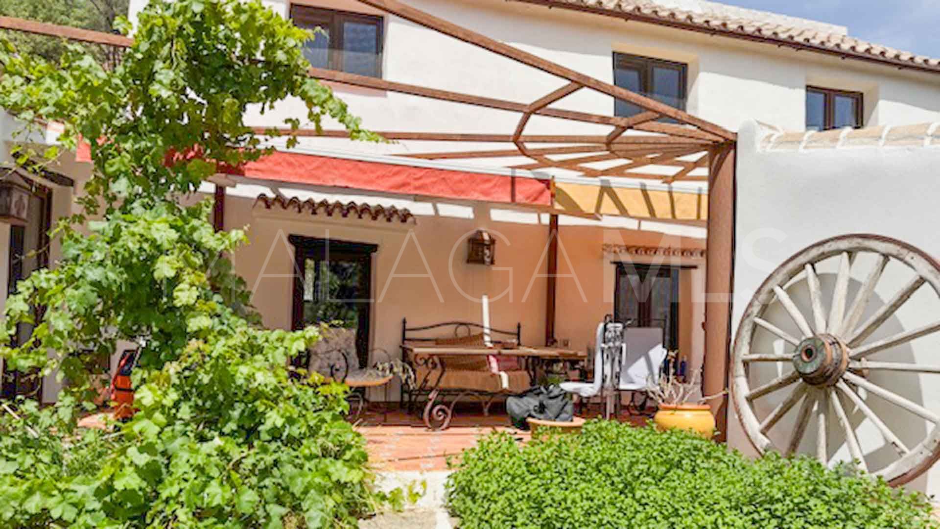 Casares, finca for sale