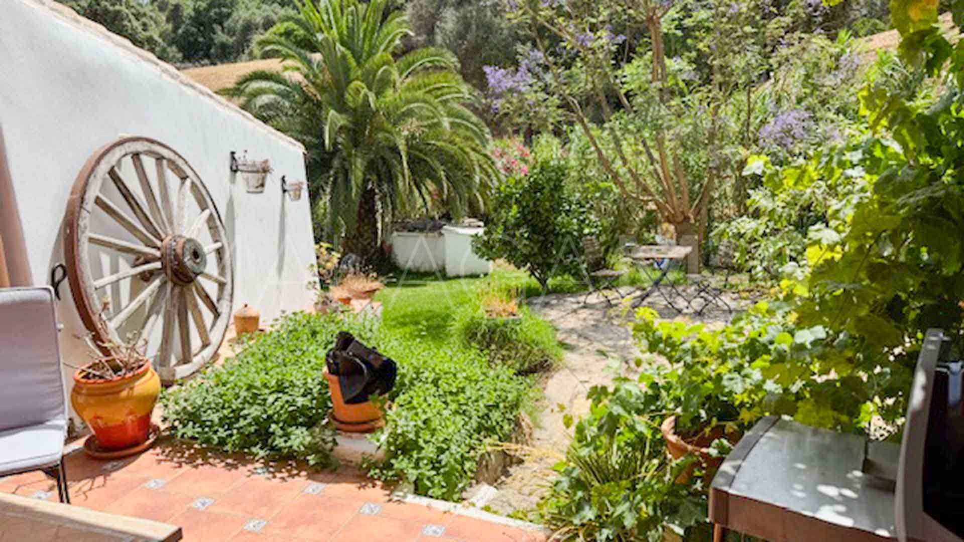 Casares, finca for sale