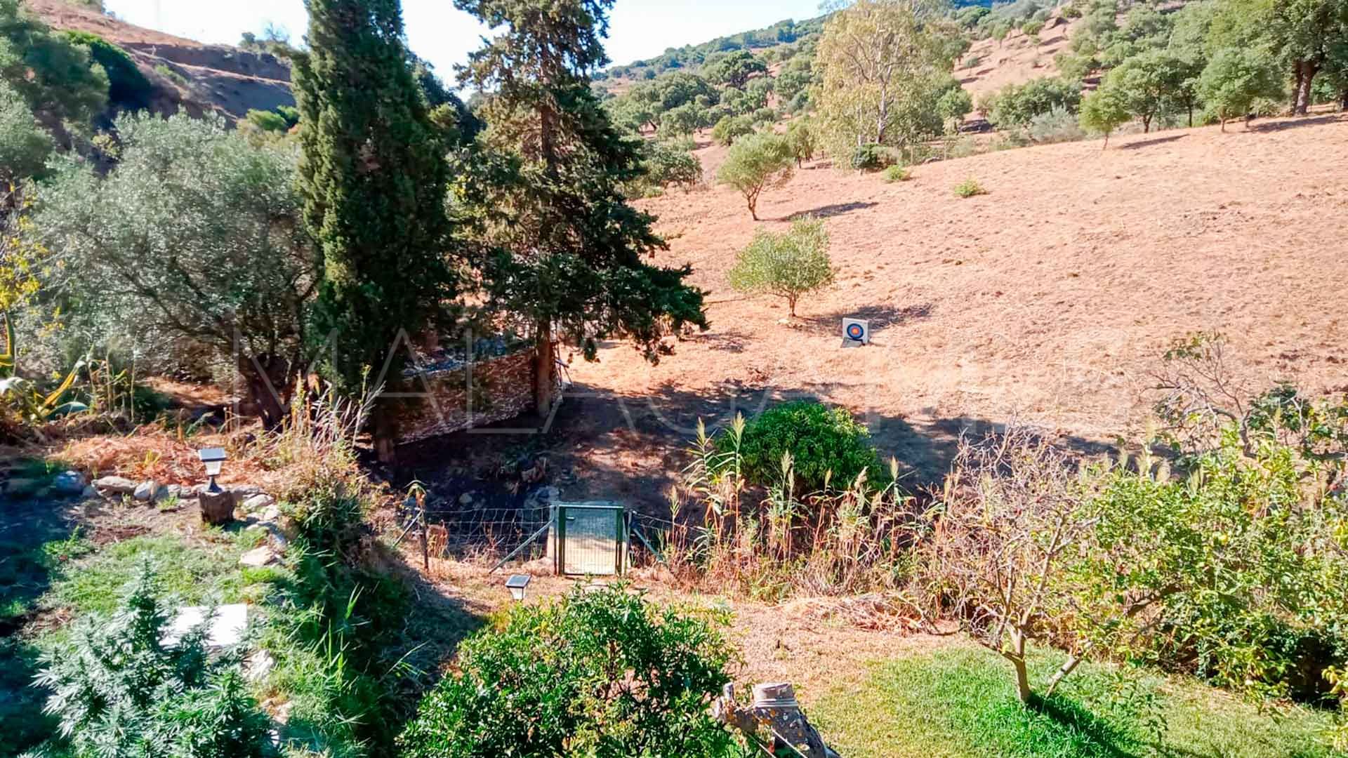 Casares, finca for sale