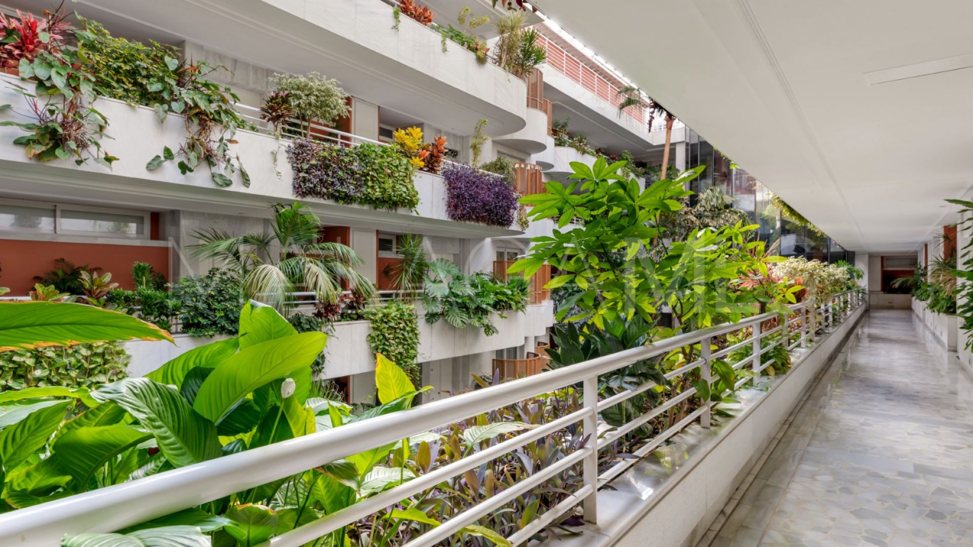 Se vende apartamento in Marina Mariola