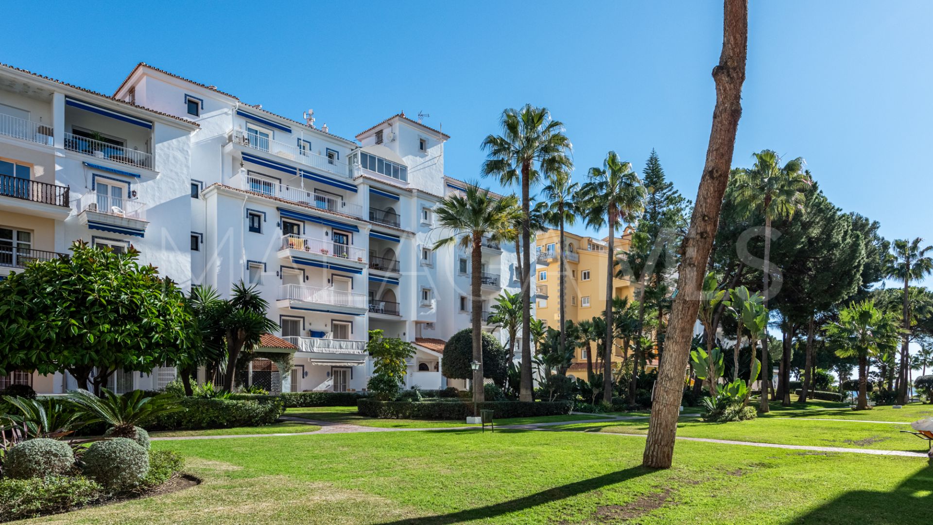 Studio for sale in Andalucia del Mar