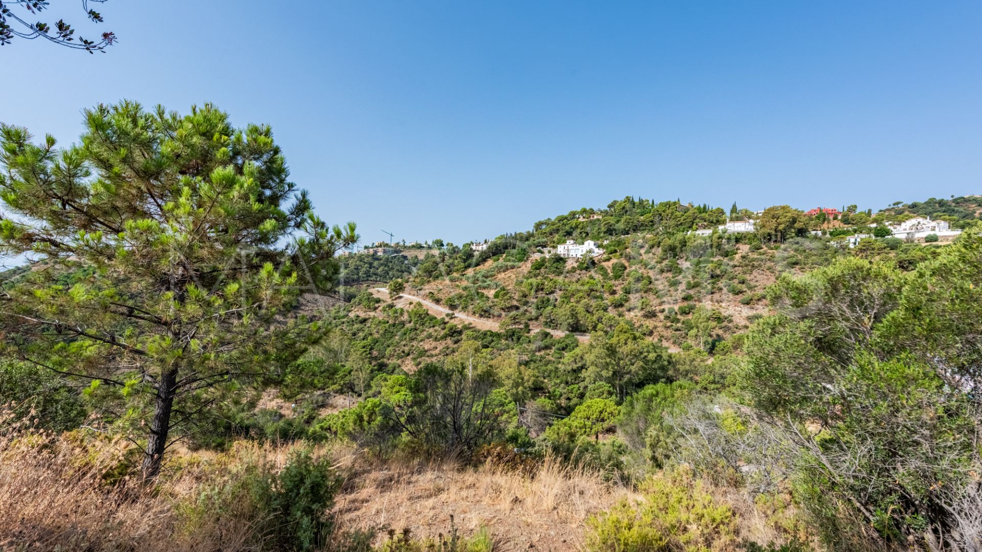 Tomt for sale in El Madroñal