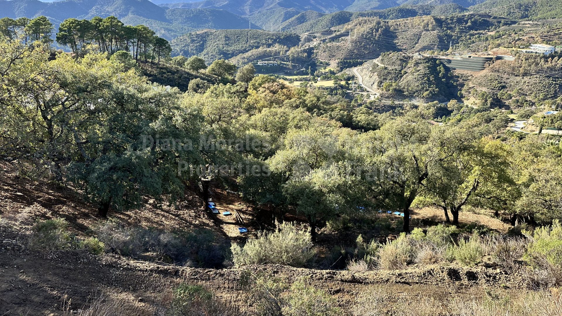 West-facing plot in La Zagaleta with views of the Ronda mountains
