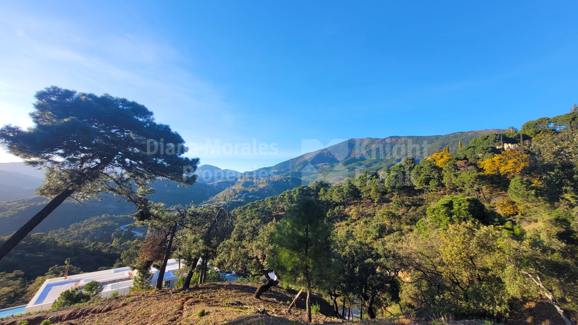 Exceptional Plot in La Zagaleta