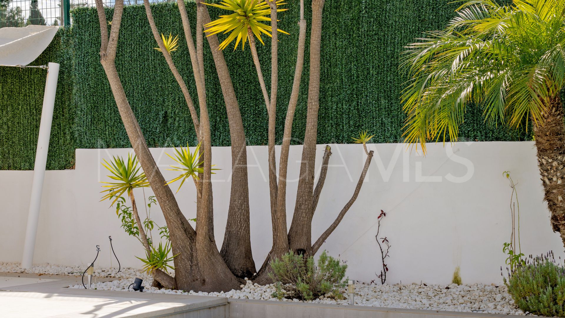 Villa for sale in Guadalmina Alta