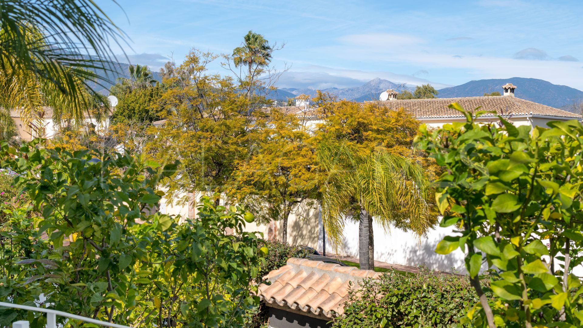 Villa for sale in Guadalmina Alta