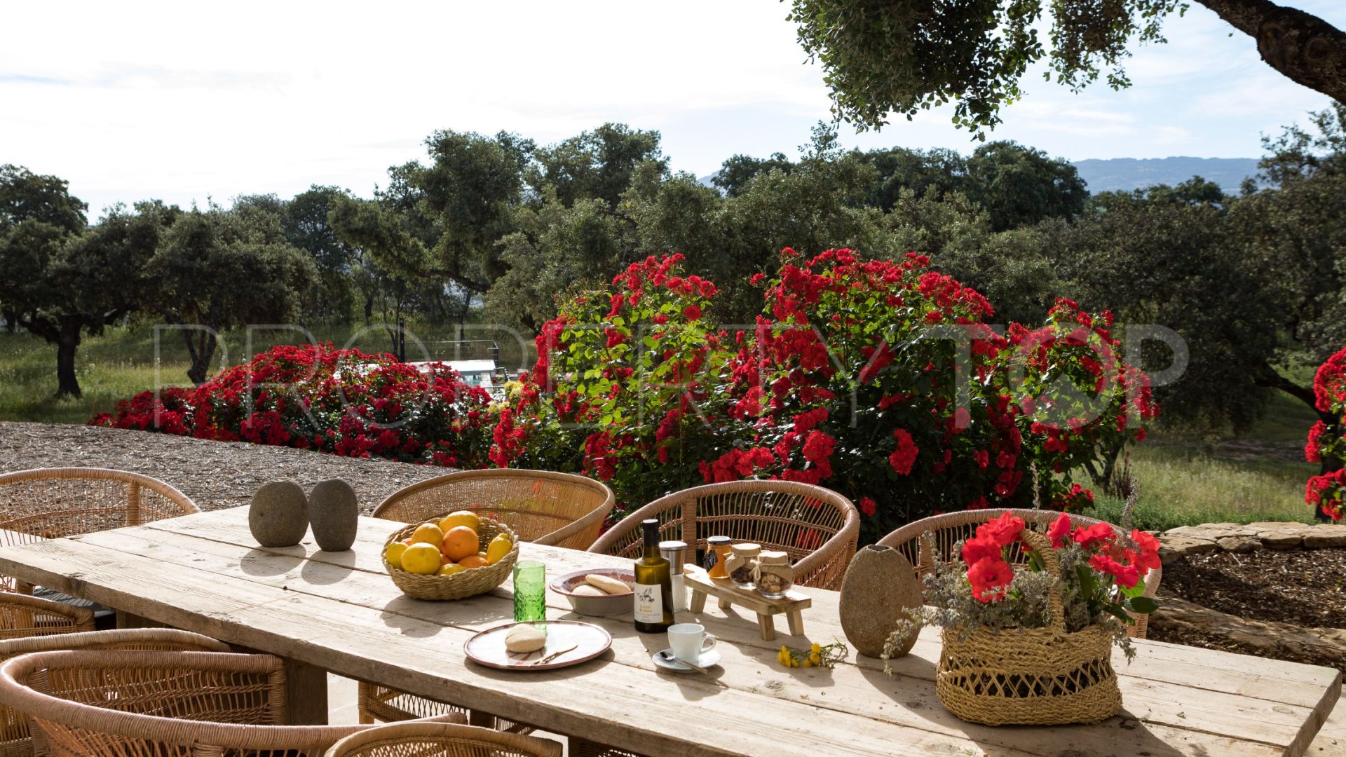 4 bedrooms villa for sale in Ronda