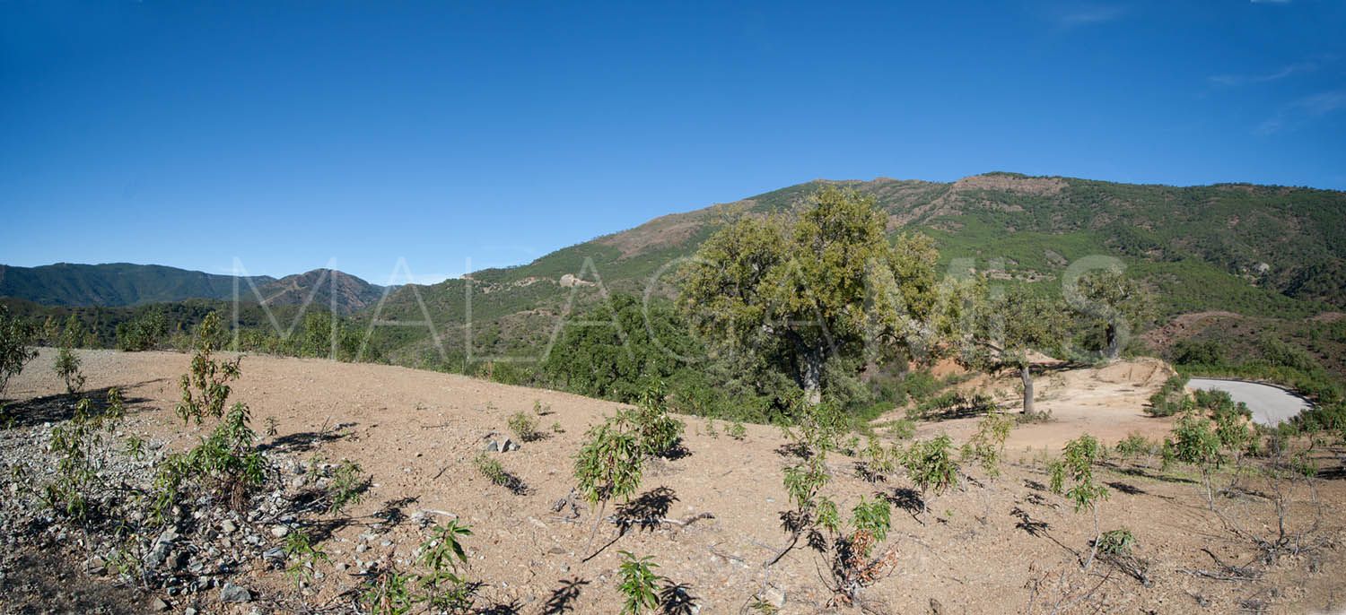 Terrain for sale in La Zagaleta