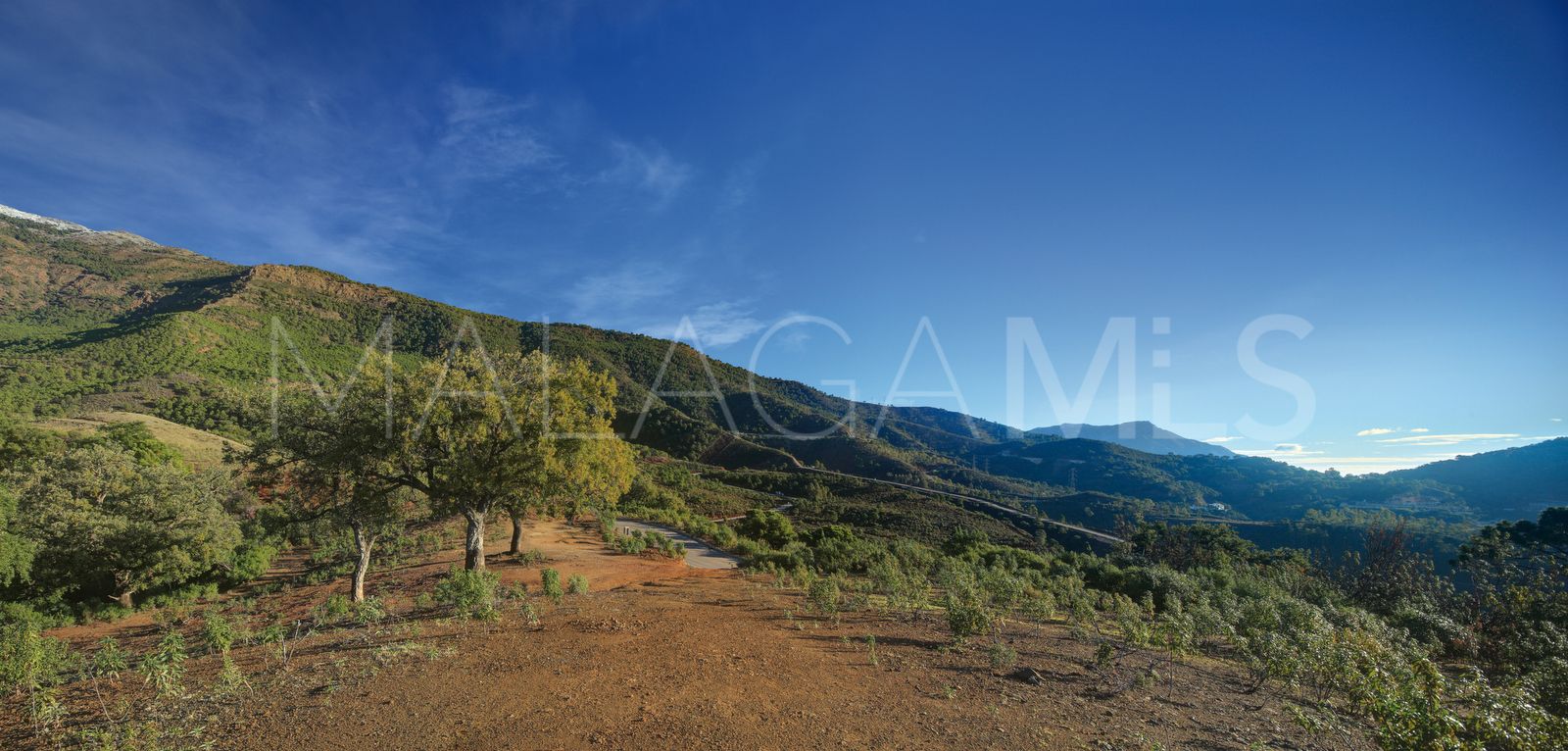 Terrain for sale in La Zagaleta