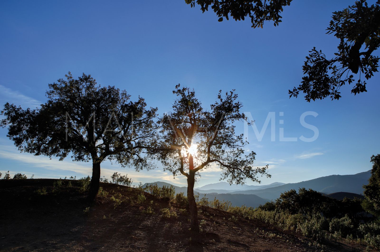 Terrain for sale in La Zagaleta