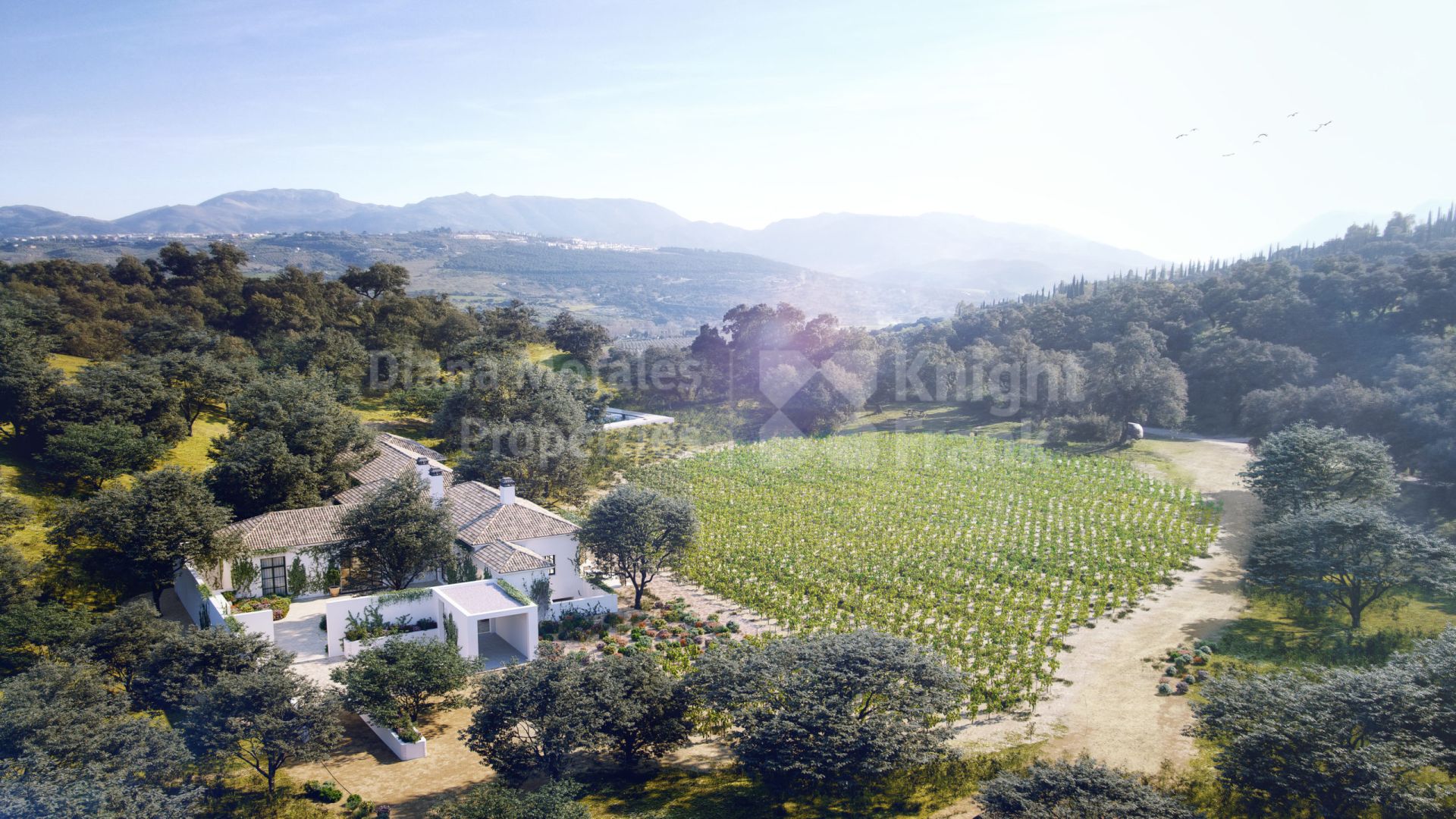 Ronda, The Wine and Country Club