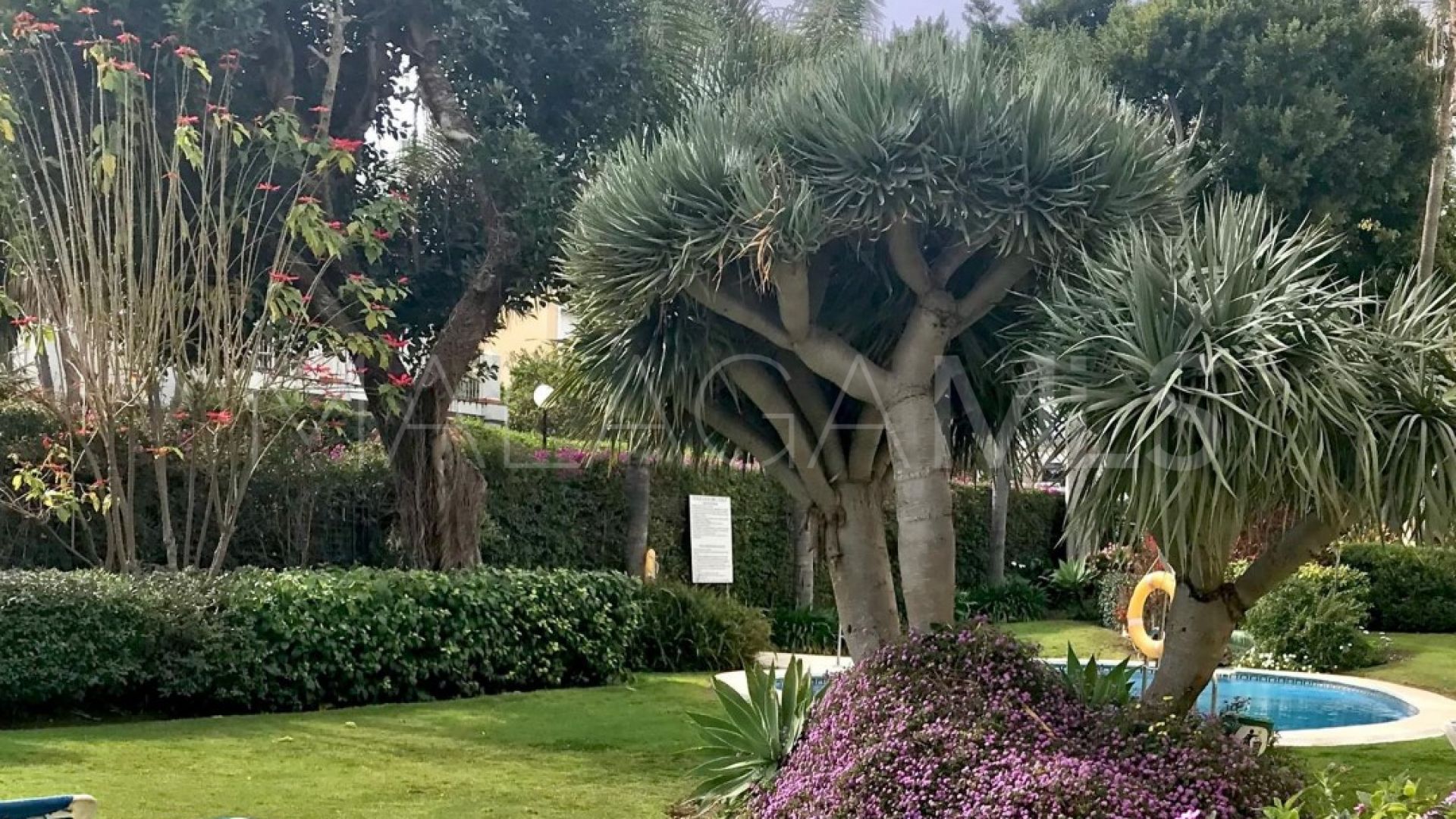 Guadalmina Alta 2 bedrooms ground floor apartment for sale