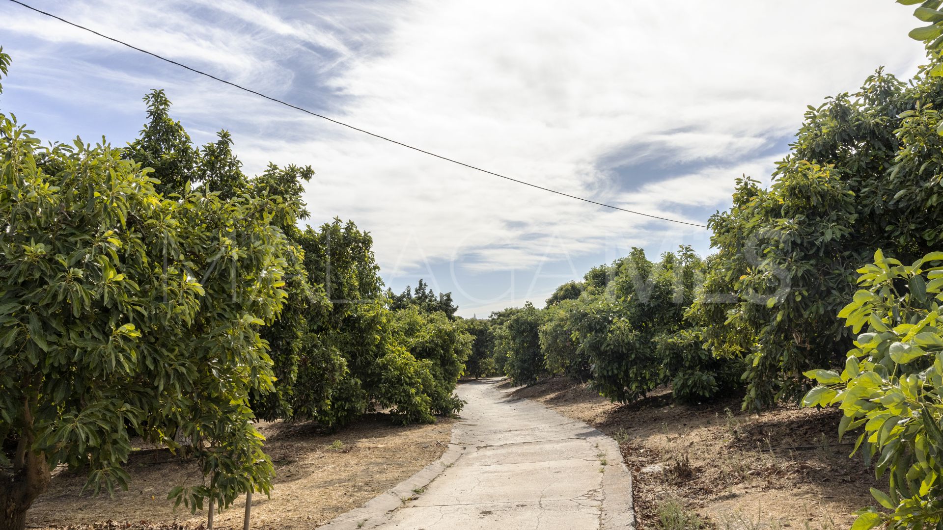 Finca for sale in Mijas Costa