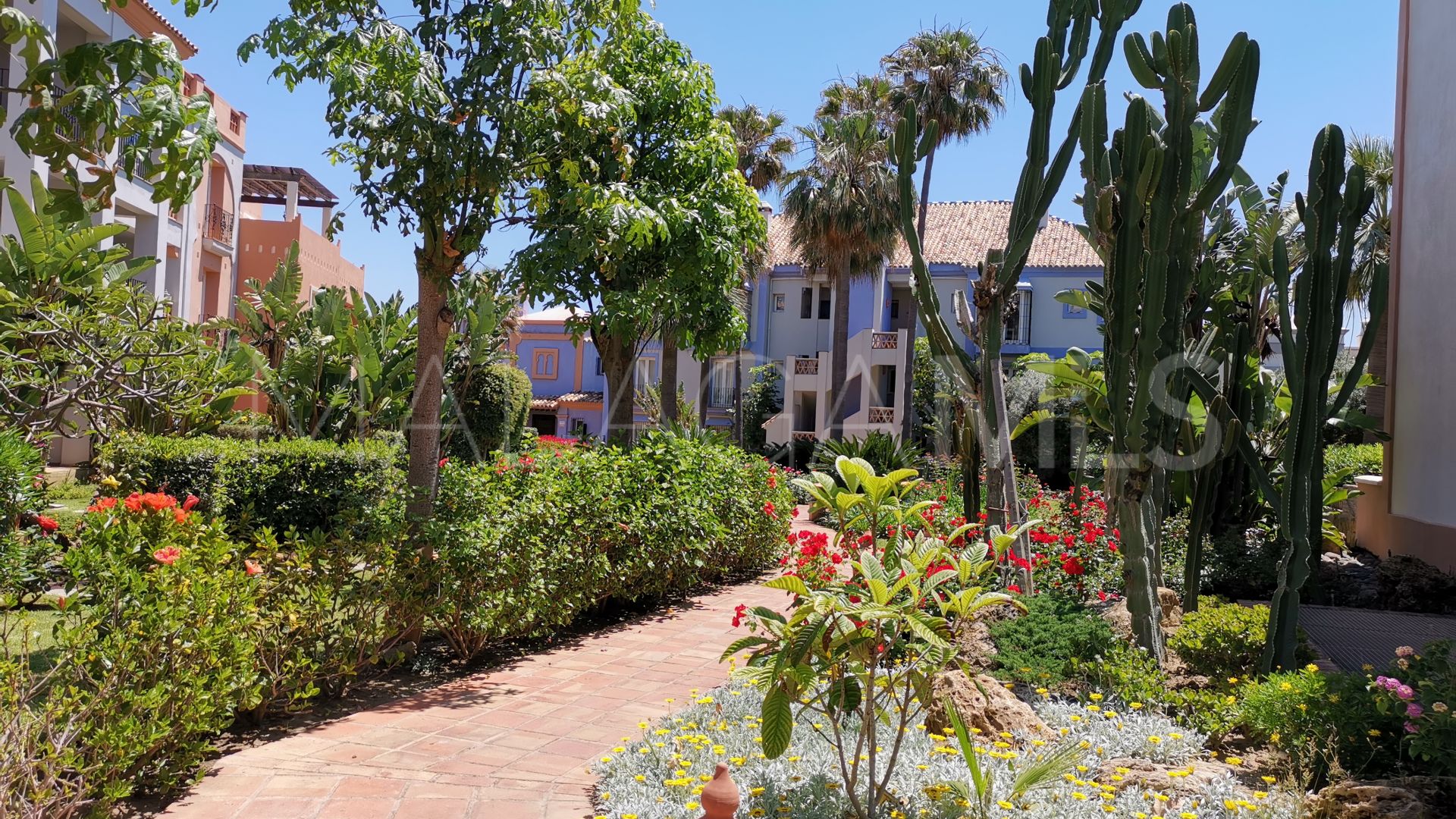Duplex penthouse for sale in Casares Playa
