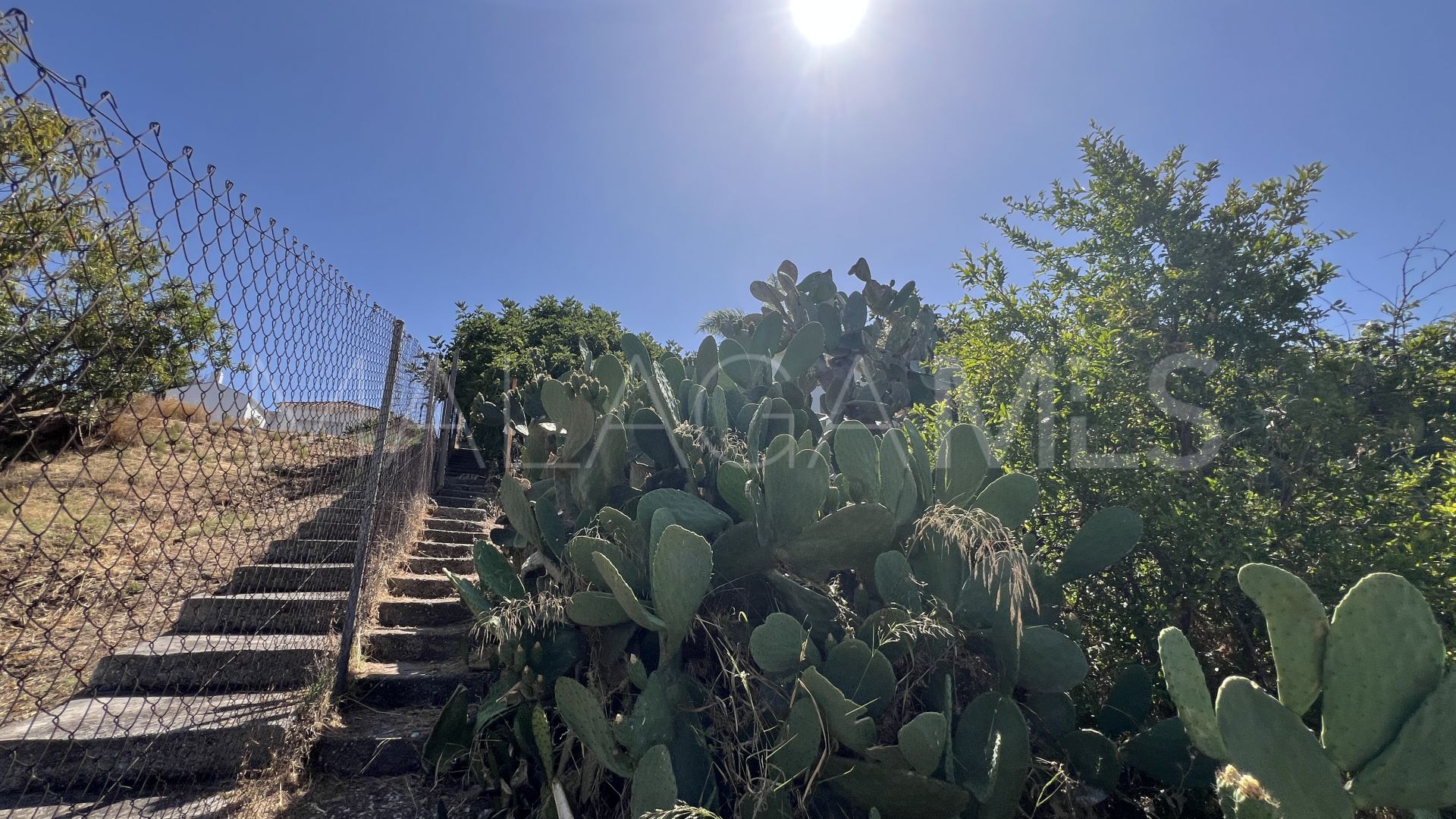El Velerin 3 bedrooms finca for sale