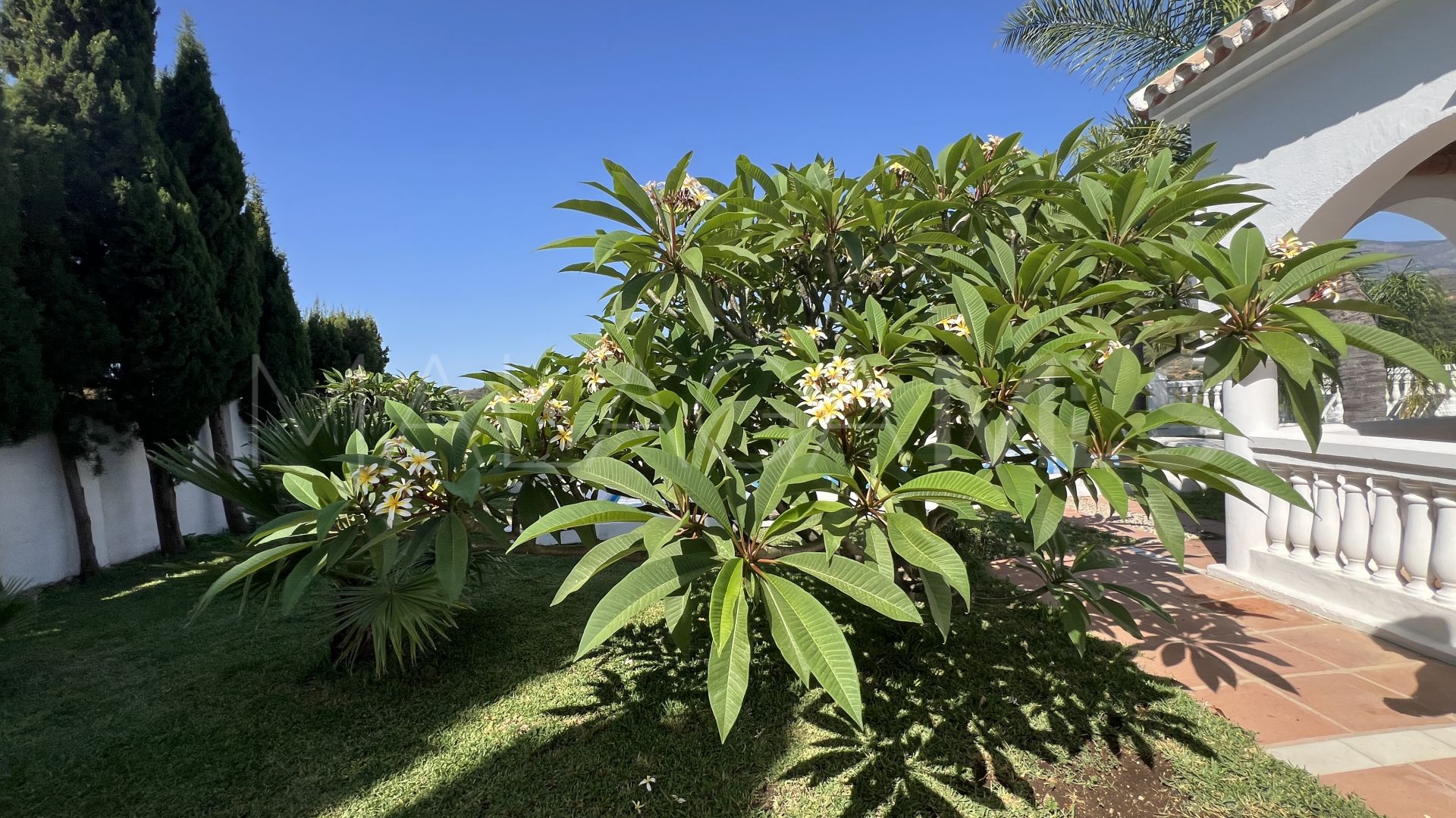 El Velerin 3 bedrooms finca for sale